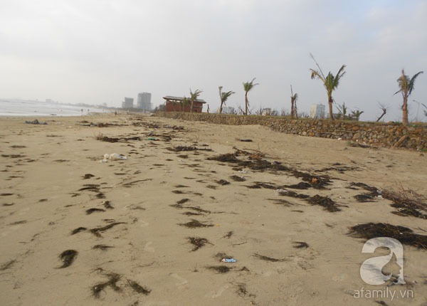 Bãi biển đẹp nhất thế giới ở Đà Nẵng ngập chìm trong rác sau lũ 7