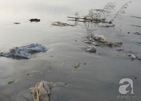 Bãi biển đẹp nhất thế giới ở Đà Nẵng ngập chìm trong rác sau lũ 8