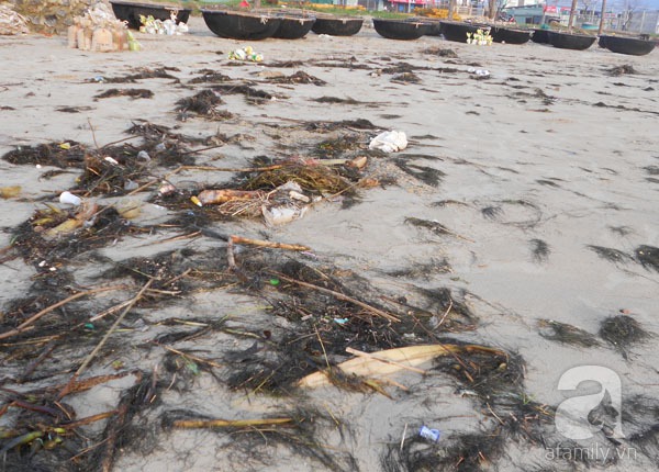 Bãi biển đẹp nhất thế giới ở Đà Nẵng ngập chìm trong rác sau lũ 9