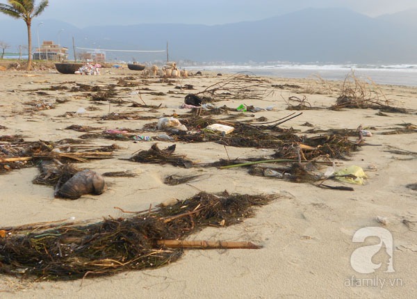 Bãi biển đẹp nhất thế giới ở Đà Nẵng ngập chìm trong rác sau lũ 10