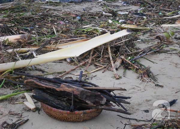 Bãi biển đẹp nhất thế giới ở Đà Nẵng ngập chìm trong rác sau lũ 13