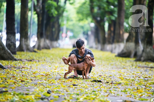 Lãng đãng Hà Nội mùa lá vàng trải thảm 21