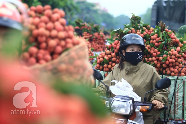 Giao thông tắc nghẽn vì người dân chở vải Lục Ngạn ùa ra khắp đường 14