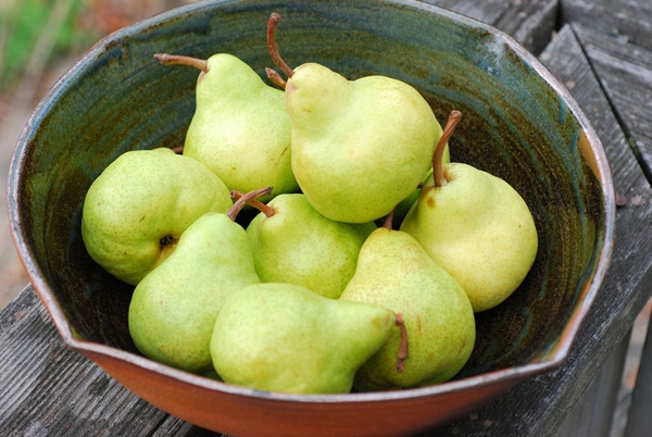 Top 10 trái cây tốt cho người bị bệnh tiểu đường 4