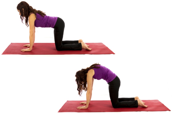 Những động tác yoga nếu tập mỗi sáng sẽ rất có lợi cho bạn 2