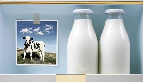Lợi ích và những rủi ro khi uống sữa tươi thô 1