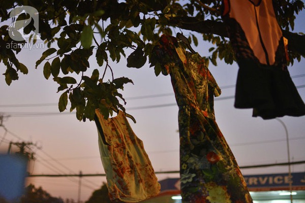 Sài Gòn: Chợ quần áo lơ lửng trên cây, khách hàng mỏi cổ ngước lên trời 9