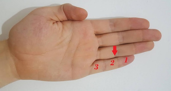đốt ngón tay đốt ngón tay