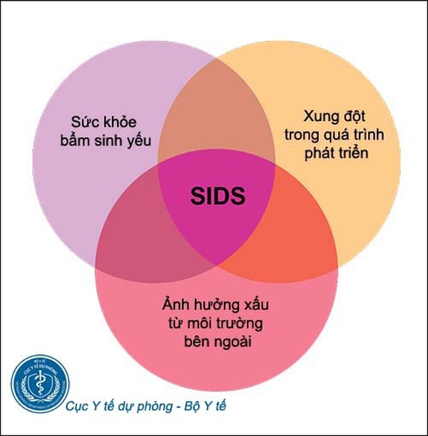 Hội chứng đột tử ở trẻ sơ sinh Hội chứng đột tử ở trẻ sơ sinh