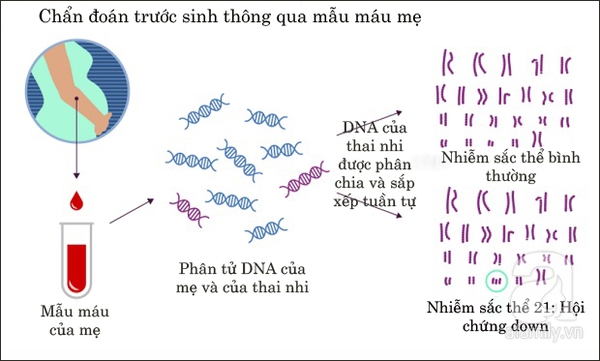 Sức khỏe của thai nhi