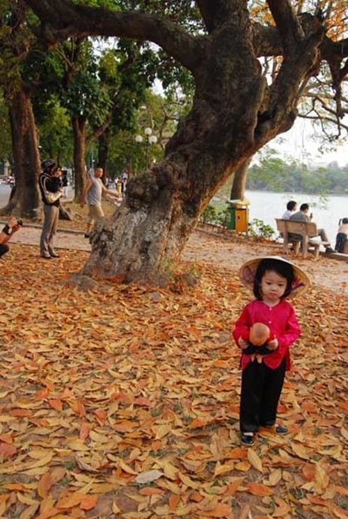 Ngắm các thiên thần nhỏ" siêu dễ thương" với nón lá 3