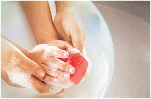 Cách bảo vệ hệ tiêu hóa từ ăn uống đến thói quen hàng ngày 8 Cách bảo vệ hệ tiêu hóa từ ăn uống đến thói quen hàng ngày 8