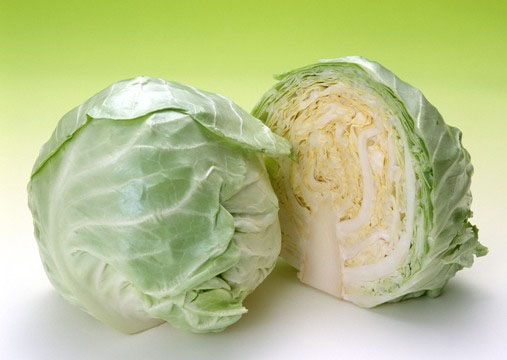 Bắp cải - C&acirc;y rau, c&acirc;y thuốc 1