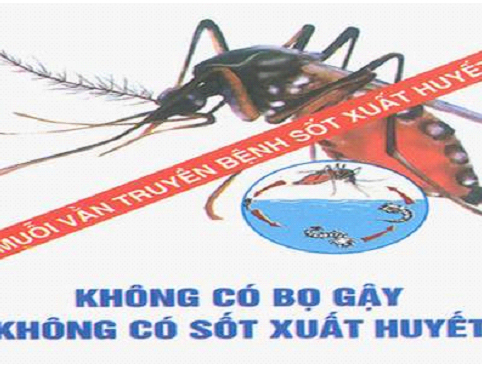 Phòng ngừa bệnh sốt xuất huyết cho trẻ trước khi bệnh bùng phát 2