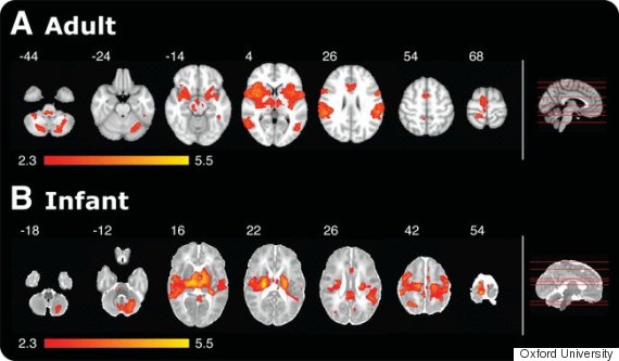 trẻ sơ sinh cũng biết đau 2