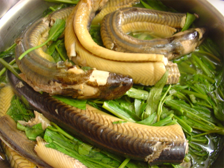 ăn thịt lươn 1
