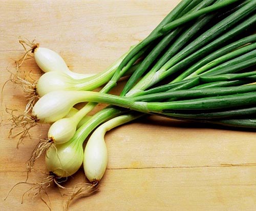 c&ocirc;ng dụng của h&agrave;nh t&iacute;m v&agrave; h&agrave;nh hoa 2