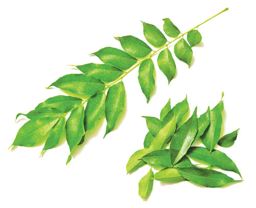 Mặt nạ tại gia cho tóc nhanh mọc 1