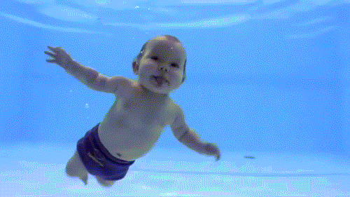 Dạy trẻ học bơi