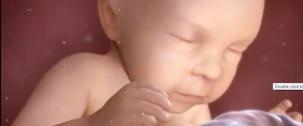 Video: Hành trình kì diệu từ tuần thai thứ 28 - 37