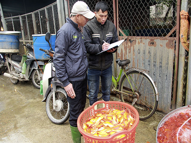 23 tháng Chạp, ông Công ông Táo, Tết Nguyên đán