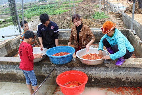 23 tháng Chạp, ông Công ông Táo, Tết Nguyên đán