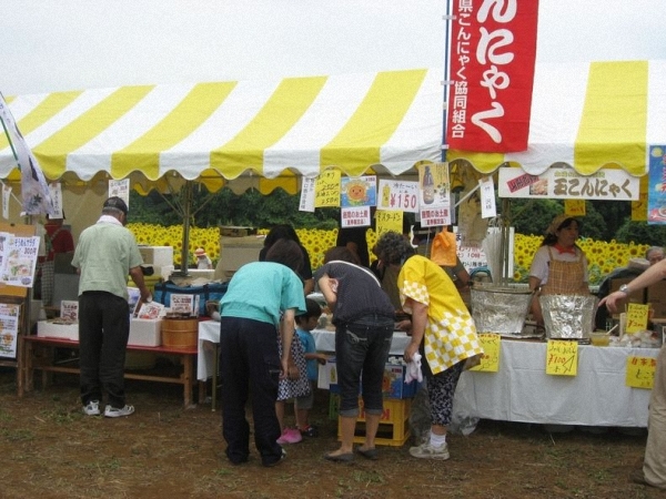 Rực rỡ lễ hội hoa hướng dương ở Nhật Bản