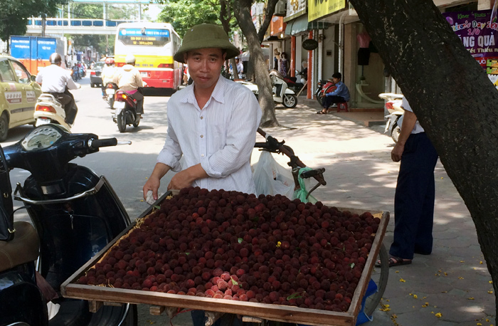 Thanh mai, Lào Cai, Quảng Ninh, Trung Quốc, thanh mai Tàu, dân buôn, siêu lợi nhuận, chợ Long Biên, chợ đầu mối, thanh-mai, Lào-Cai, Quảng-Ninh, Trung-Quốc, thanh-mai-Tàu, dân-buôn, siêu-lợi-nhuận, chợ-Long-Biên, chợ-đầu-mối, tranh-nhau