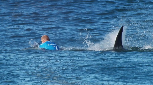 Khoảnh khắc Mick Fanning bị cá mập tấn công. Ảnh: Indian Express