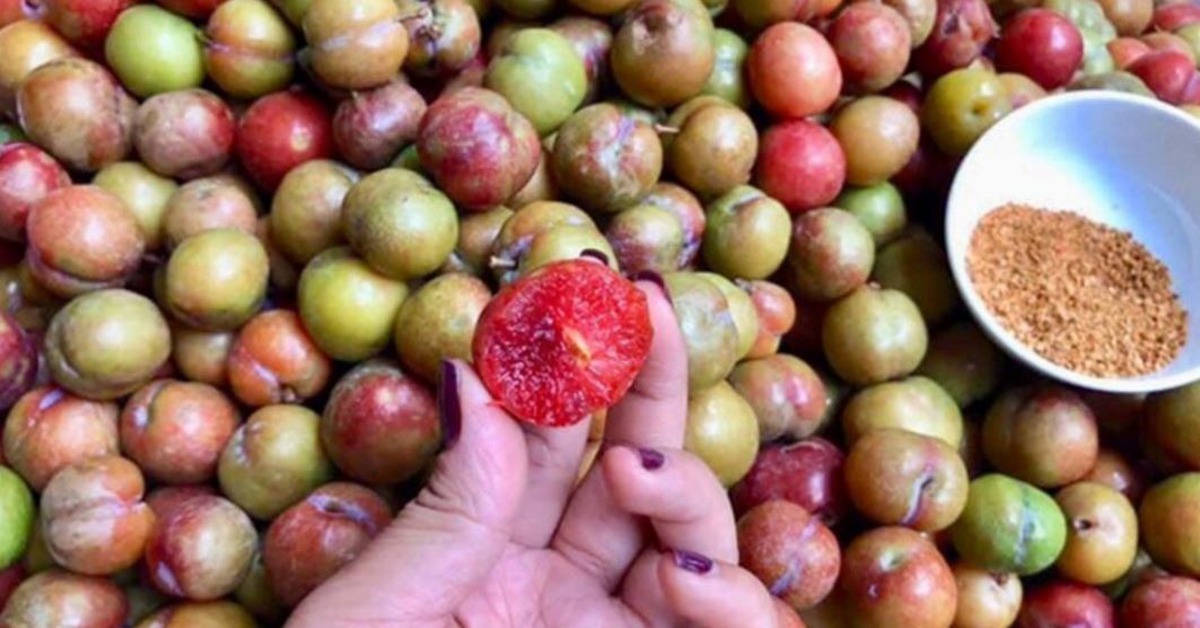 So sánh mận miền Bắc và roi miền Nam: Trái cây trùng tên nhưng khác ...