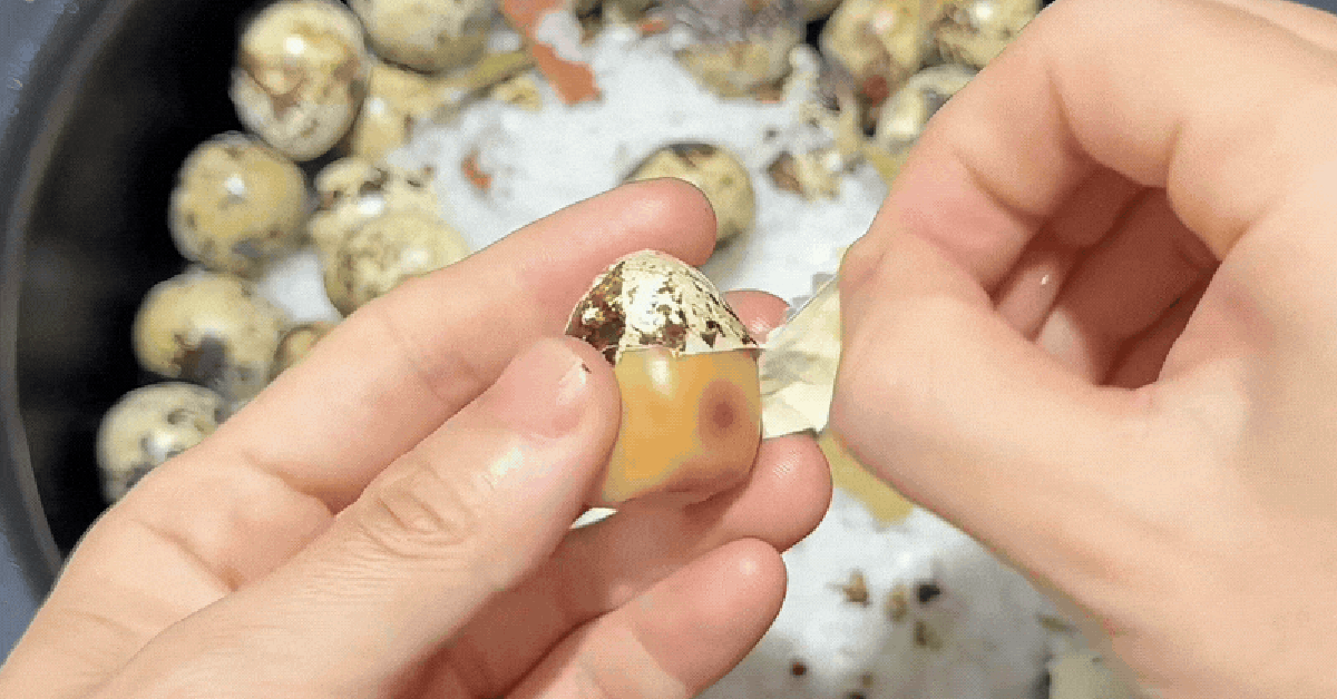 Bắt trend trứng cút nướng muối tại nhà bằng nồi cơm điện dễ làm , ngon ...