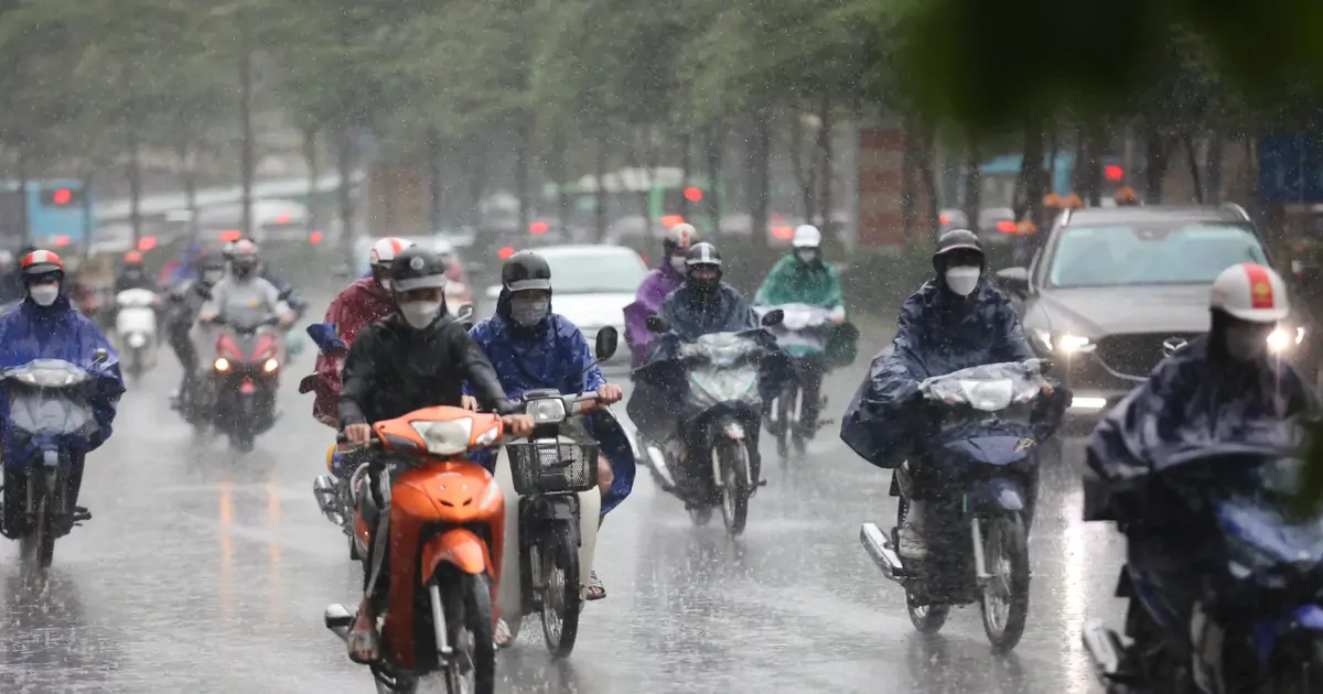 Bài viết