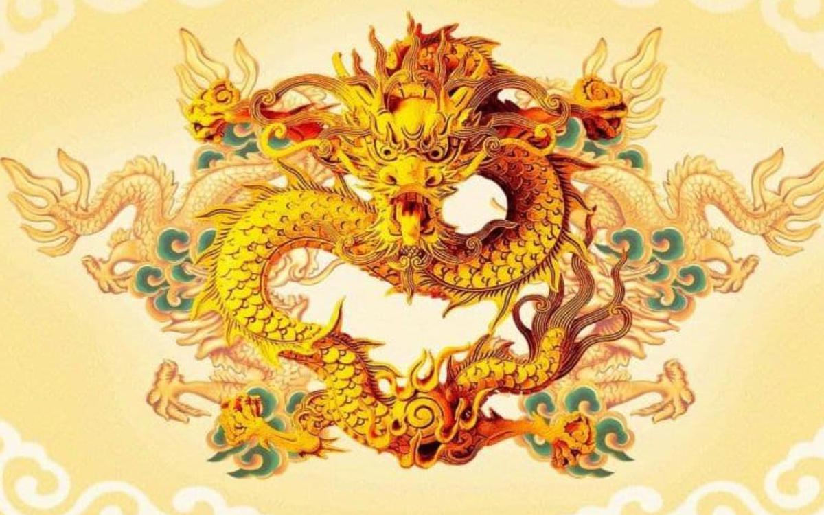 Bài viết