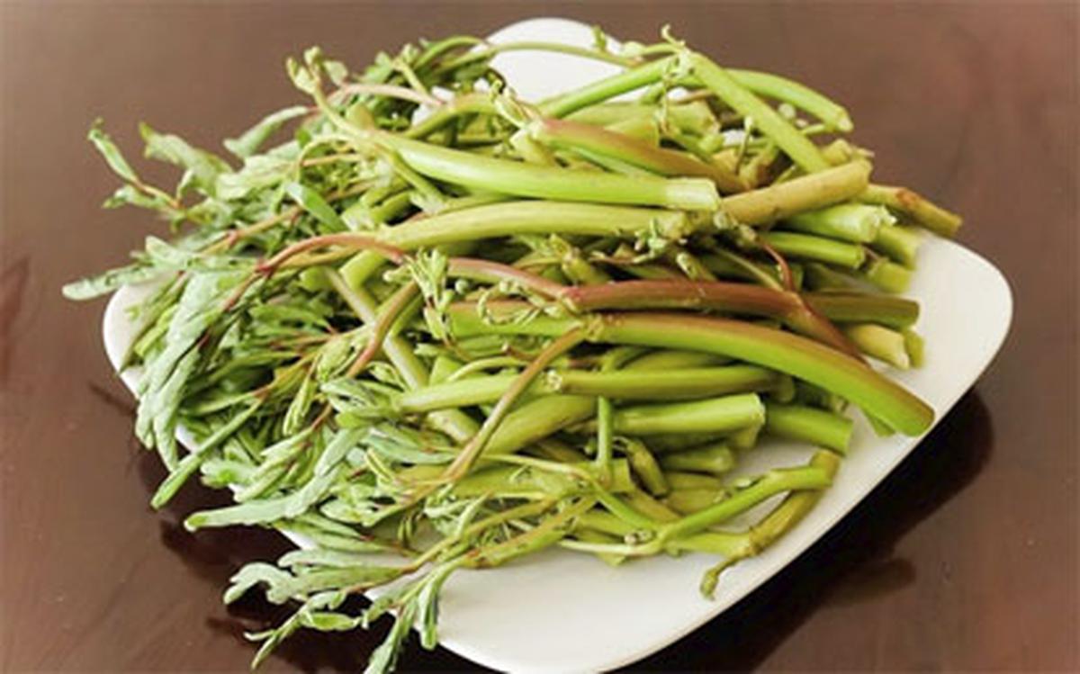 RAU RÚT: ngon, bổ dưỡng những dễ nhiễm nhiều mầm bệnh