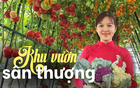 Mẹ đảm mê trồng cây sân thượng: Rau củ ăn quanh năm không hết phải mang tặng, vườn đẹp đến nỗi đồng nghiệp lẫn học sinh mầm non đến check-in