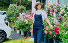 Ngôi nhà lúc nào cũng thơm nức mùi hoa vì có vườn hồng hơn 80 loại của mẹ Việt ở Nhật