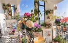 Nhà hàng xóm chỉ có ban công 4m² mà làm được khu vườn đẹp như resort, nhìn xong tôi chỉ biết thốt lên "đỉnh thật"!