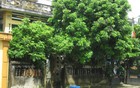 3 chi tiết trong nhà tưởng vô hại nhưng khiến tài vận cứ trôi đi
