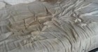 2 thứ trong nhà là "tổ hợp chết chóc", gây hại sức khỏe: Nghèo mấy cũng phải vứt bỏ ngay!