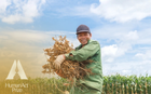 Trồng "Hạt vàng thế kỷ 21" theo cách chỉ có ở Việt Nam, nông hộ thu 400 triệu đồng/ha/năm