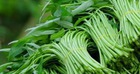 Mua rau, cứ học thuộc mẹo này là biết rau trồng tự nhiên hay rau phun thuốc kích thích