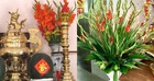Hoa thắp hương: 7 loại mang ý nghĩa may mắn, 5 loại KHÔNG nên đặt