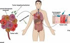 Tìm ra liệu pháp điều trị ung thư hiệu quả bằng vi khuẩn