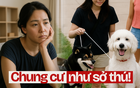 Mua chung cư "thân thiện với thú cưng", giờ như sống giữa sở thú, sân chơi không khác gì nhà vệ sinh: Tôi rất mệt!