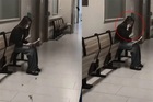 Bức ảnh cô gái ngồi khóc ở hành lang bệnh viện sau khi nhận kết quả khám bệnh: Tiết lộ câu chuyện thắt lòng