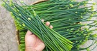 8 loại rau yên tâm mua ở chợ, không lo thuốc trừ sâu