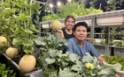 Từ tay mơ đến bà chủ vườn chỉ sau 2 tháng: Mẹ trẻ bật mí 4 kinh nghiệm trồng rau sân thượng trĩu quả khiến ai cũng bất ngờ vì “quá dễ”
