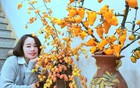 Mê mẩn những cành quả cắm bình độc đáo của cô giáo Phú Thọ