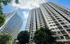 Kiến trúc sư tiết lộ: Dù chung cư có cao bao nhiêu, tầng này vẫn là “tầng vàng” để an cư