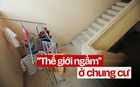 Tôi phát hiện ra "thế giới ngầm" ở chung cư, nơi ít ai đặt chân tới nhưng tôi đã 4 lần, cứ bước vào là... có drama!
